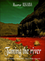 Taming the river