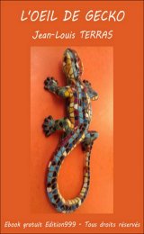  L'OEIL DE GECKO