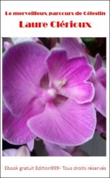 Le merveilleux parcours de Célestin