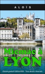 MICMAC A LYON
