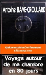 Voyage autour de ma chambre