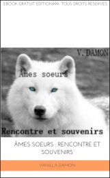 Âmes sœurs : Rencontre et Souvenirs