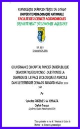 GOUVERNANCE DU CAPITAL FONCIER MASISI/R.D.Congo