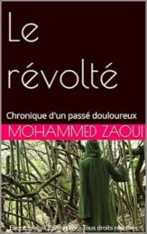 Le révolté