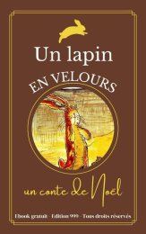 Un lapin en velours