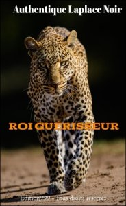 ROI GUERISSEUR