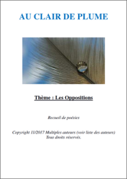 Thème 3 - Les Oppositions