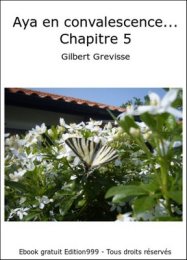 Aya en convalescence... Chapitre 5