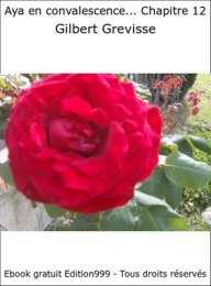 Aya en convalescence... Chapitre 12