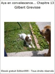 Aya en convalescence... Chapitre 13