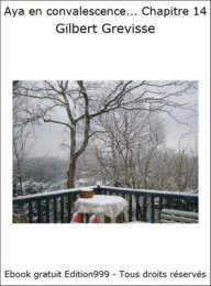 Aya en convalescence... Chapitre 14