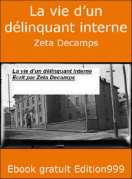 La vie d'un délinquant interne