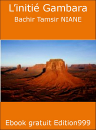 L'initié Gambara
