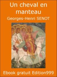 Un cheval en manteau