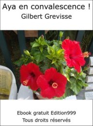 Aya en convalescence !