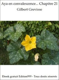 Aya en convalescence... Chapitre 21
