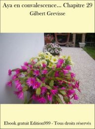 Aya en convalescence... Chapitre 29