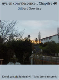 Aya en convalescence... Chapitre 40