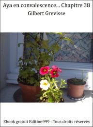 Aya en convalescence... Chapitre 38