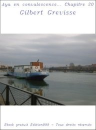 Aya en convalescence... Chapitre 20