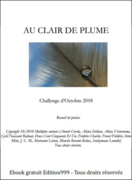 Challenge Octobre 2018