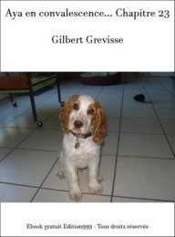 Aya en convalescence... Chapitre 23