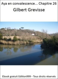 Aya en convalescence... Chapitre 26