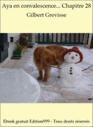 Aya en convalescence... Chapitre 28