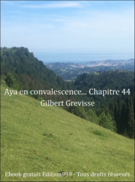 Aya en convalescence... Chapitre 44