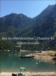Aya en convalescence... Chapitre 45