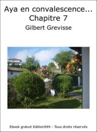 Aya en convalescence... Chapitre 7