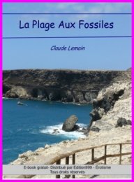 La Plage aux Fossiles