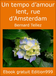 Tempo d'amour lent, rue d'Amsterdam