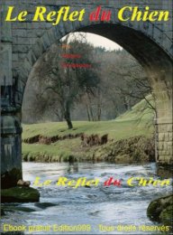 Le reflet du chien
