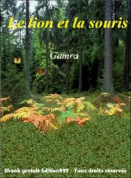 Le lion et la souris