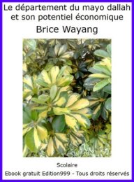 Le département du mayo dallah 