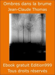 Ombres dans la brume