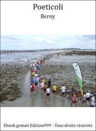 Poeticoli