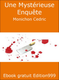 Une Mystérieuse Enquête