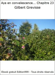 Aya en convalescence... Chapitre 22