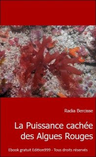La Puissance cachée des Algues Rouges