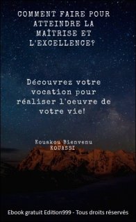 COMMENT FAIRE POUR ATTEINDRE LA MAÎTRISE ET L'EXCELLENCE ?