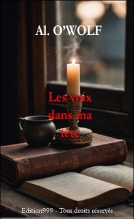 Les voix dans ma tête