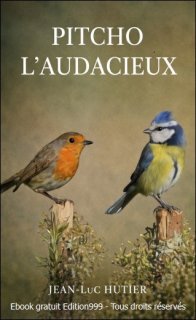 PITCHO L'AUDACIEUX