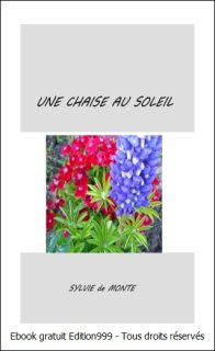 Une chaise au soleil