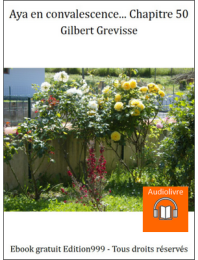 Aya en convalescence... Chapitre 50