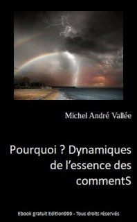  Pourquoi ? Dynamiques de l'essence des commentS