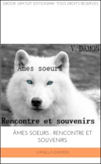 Âmes sœurs : Rencontre et Souvenirs