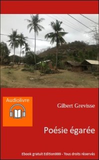 Poésie égarée