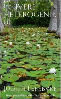 Univers Hétérogénik